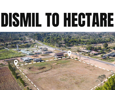 Complete Guide to Dismil to Hectare Conversion: Everything You Need to Know